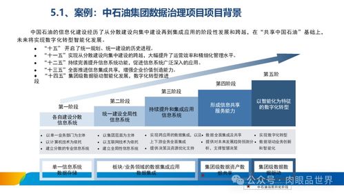 XX集团数据治理体系建设方案——数据处理服务专项